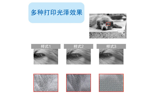 多种打印光泽效果